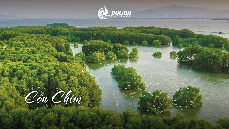 Cồn Chim yên tĩnh, chèo SUP giữa đầm khá chill