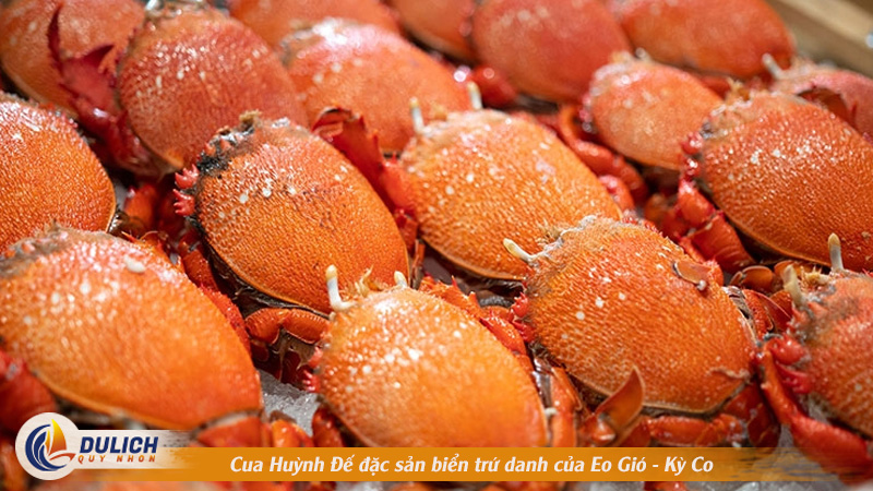 Cua Huỳnh Đế đặc sản biển trứ danh của Eo Gió - Kỳ Co