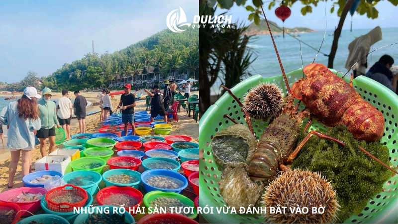 Những rổ hải sản tươi rói vừa đánh bắt vào bờ