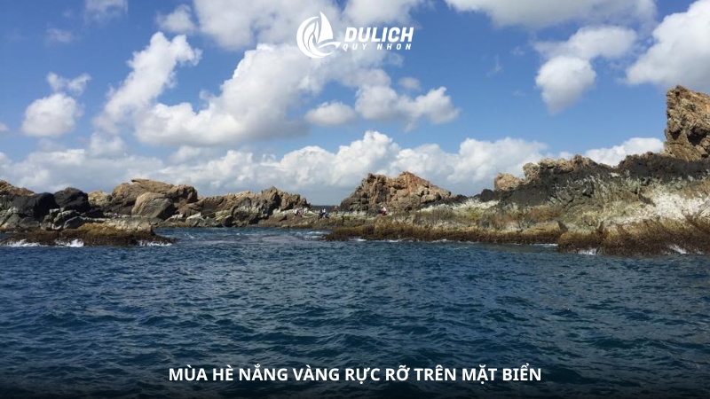 Mùa hè nắng vàng rực rỡ trên mặt biển