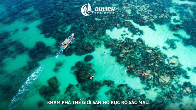 Khám phá thế giới san hô rực rỡ sắc màu