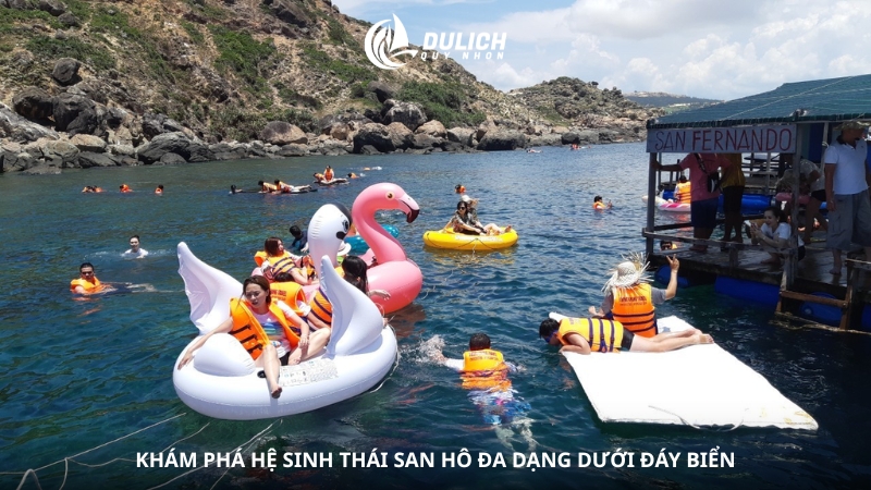 Khám phá hệ sinh thái san hô đa dạng dưới đáy biển