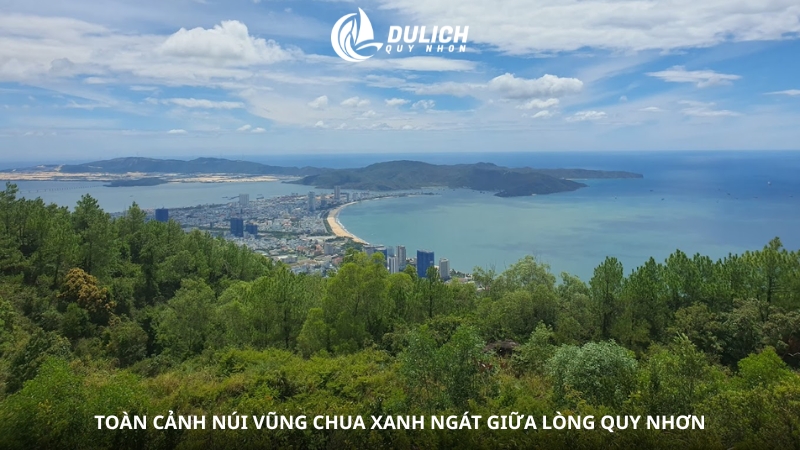 Toàn cảnh núi Vũng Chua xanh ngát giữa lòng Quy Nhơn