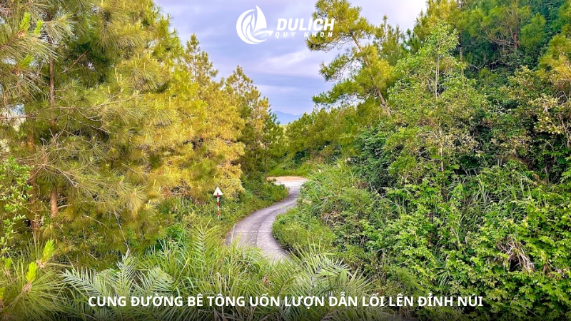 Cung đường bê tông uốn lượn dẫn lối lên đỉnh núi