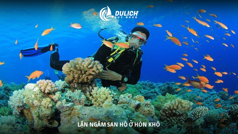 Các hoạt động nổi bật trong tour Kỳ Co - Eo Gió 1 ngày