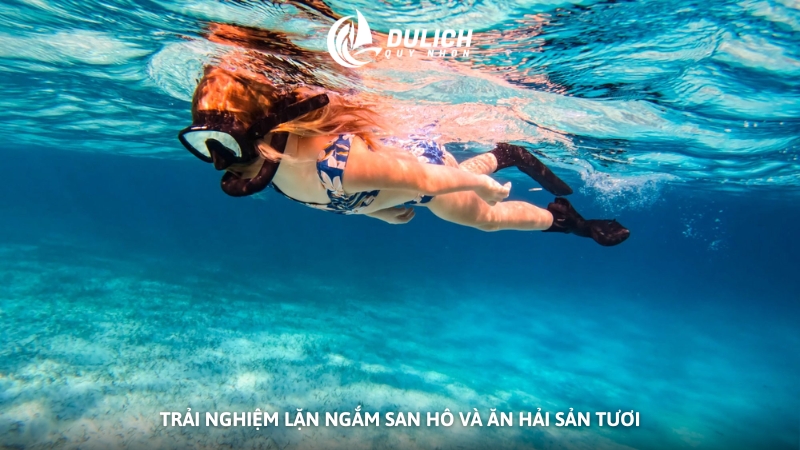 Trải nghiệm lặn ngắm san hô và ăn hải sản tươi
