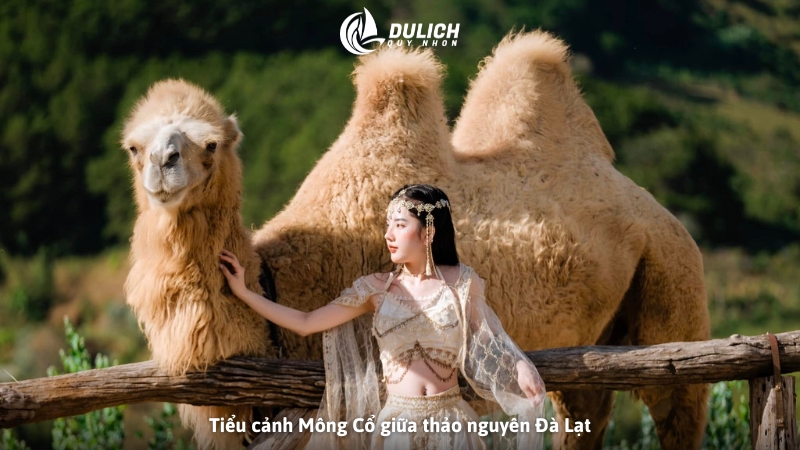 Tiểu cảnh Mông Cổ giữa thảo nguyên Đà Lạt