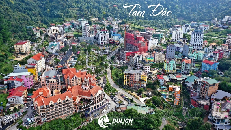 Sương mù bao phủ Tam Đảo đẹp mơ màng tháng 12