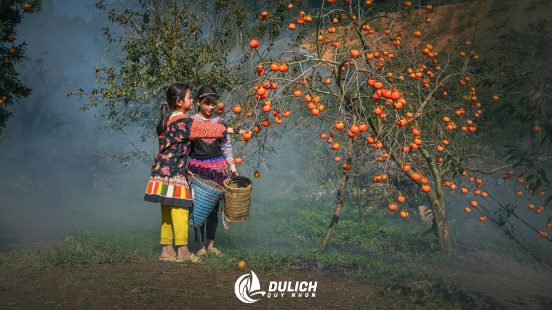 Mộc Châu là lựa chọn lý tưởng khi tìm tháng 12 nên đi du lịch ở đâu
