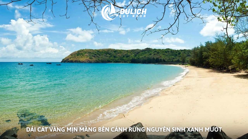 Dải cát vàng mịn màng bên cánh rừng nguyên sinh xanh mướt