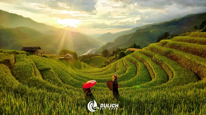 Mù Cang Chải với ruộng bậc thang vàng óng mùa lúa chín