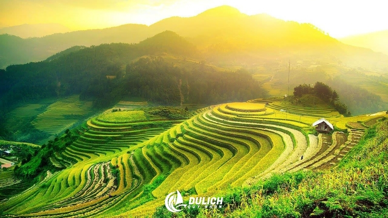 Mù Cang Chải với ruộng bậc thang vàng óng mùa lúa chín