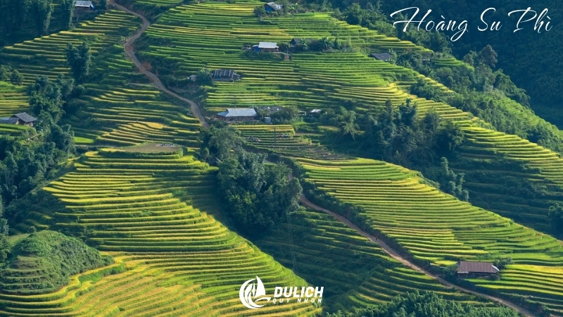 Hoàng Su Phì, tuyệt tác ruộng bậc thang mang đậm nét cảnh đẹp Việt Nam