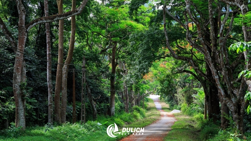 Cúc Phương, vườn quốc gia lâu đời với đa dạng sinh học