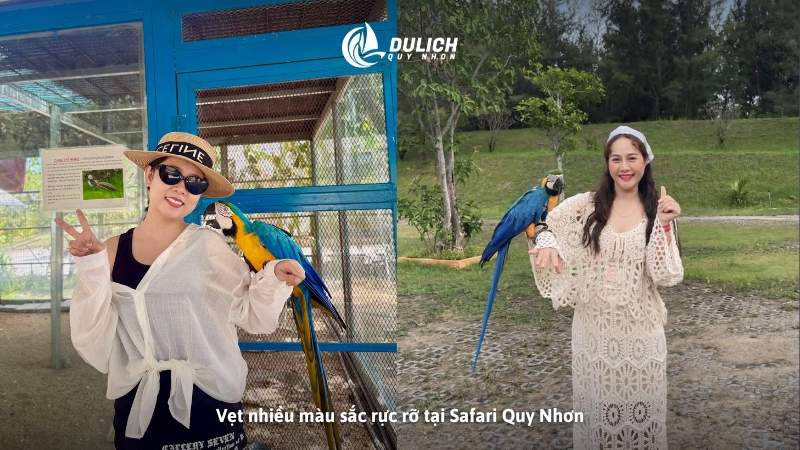 Vẹt nhiều màu sắc rực rỡ tại Safari Quy Nhơn