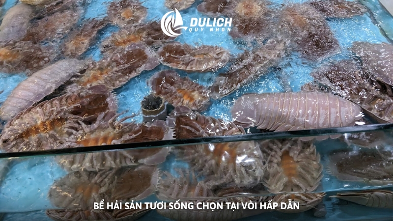Bể hải sản tươi sống chọn tại vòi hấp dẫn