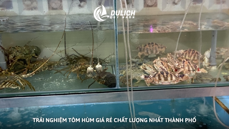 Trải nghiệm tôm hùm giá rẻ chất lượng nhất thành phố