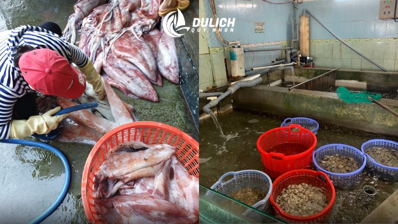 Địa điểm mua hải sản lâu đời quen thuộc của người dân địa phương