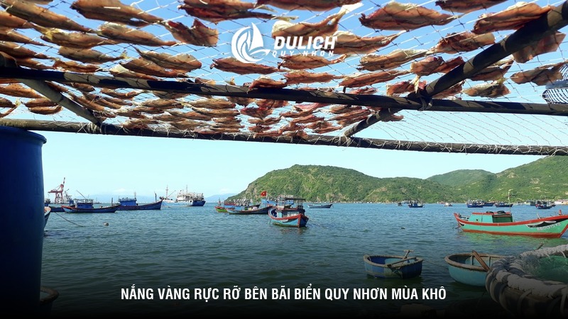 Nắng vàng rực rỡ bên bãi biển Quy Nhơn mùa khô
