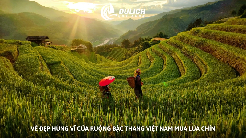 Vẻ đẹp hùng vĩ của ruộng bậc thang Việt Nam mùa lúa chín