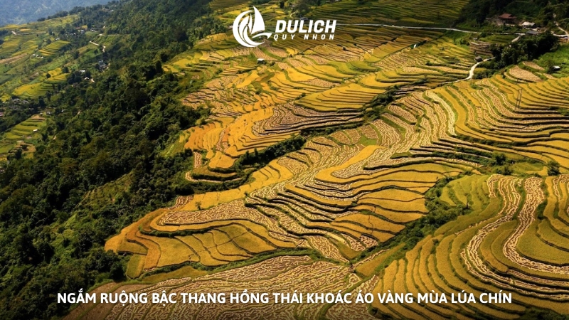 Ngắm ruộng bậc thang Hồng Thái khoác áo vàng mùa lúa chín