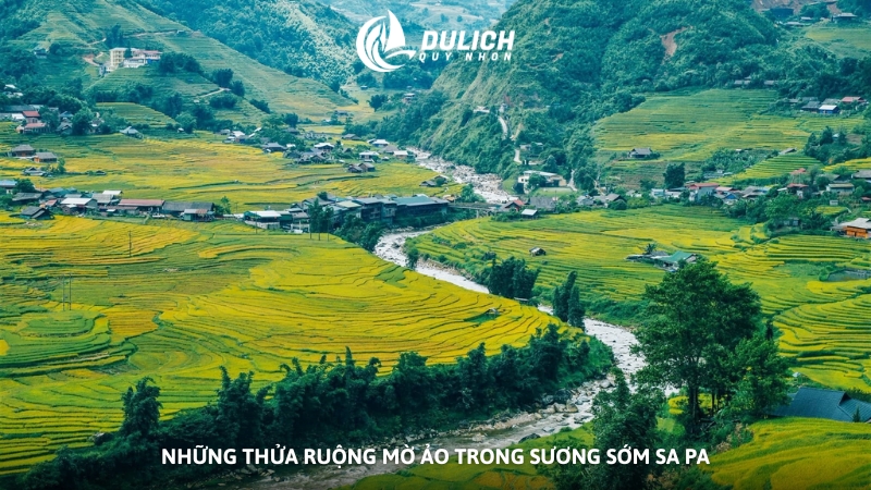 Những thửa ruộng mờ ảo trong sương sớm Sa Pa