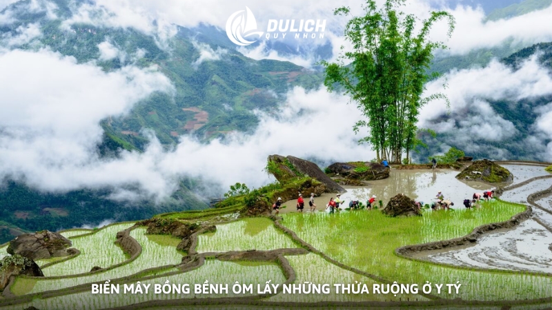 Biển mây bồng bềnh ôm lấy những thửa ruộng ở Y Tý