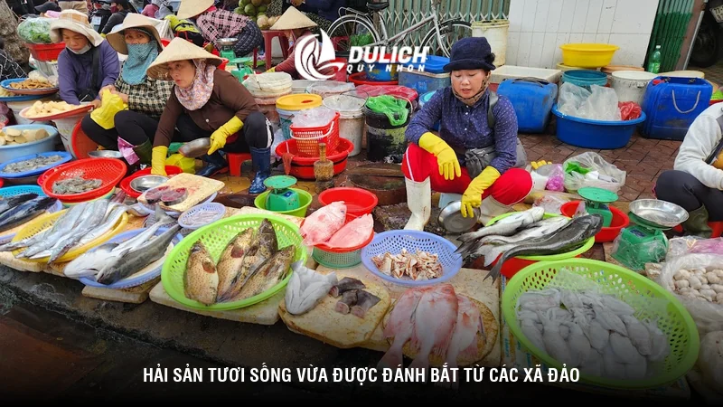 Hải sản tươi sống vừa được đánh bắt từ các xã đảo