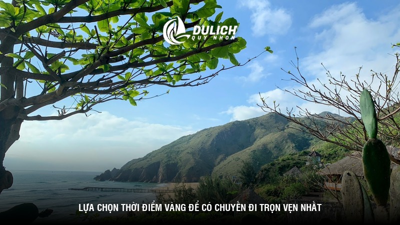 Lựa chọn thời điểm vàng để có chuyến đi trọn vẹn nhất