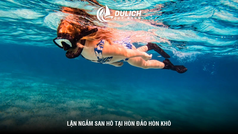 Lặn ngắm san hô tại hòn đảo Hòn Khô